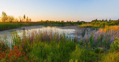 Fototapeta na wymiar small calm summer lake at the sunset
