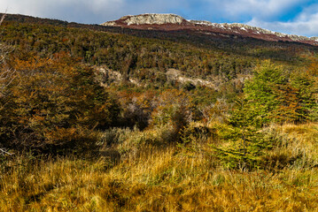 Bahia Ensenada Zaratiegui, Tierra del Fuego National Park, Patagonia, Argentina