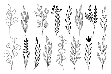 Hand Drawn Black And White Spring Flowers On White Background. Sketch. Doodle style	