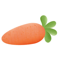 Carrot 