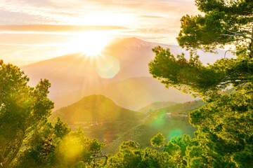 amazing landscape from a highland green park with trees and bushes to a beautiful sunset or sunrise...