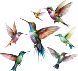 Crédence de cuisine en verre imprimé Colibri Set of hummingbirds