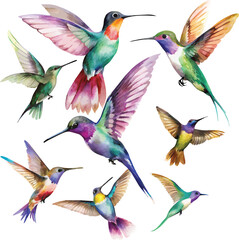 Obraz premium Set of hummingbirds