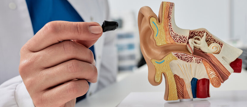 Presentation of in-the-canal hearing aid. Close-up of hearing aid in audiologist hand near anatomical model of human ear