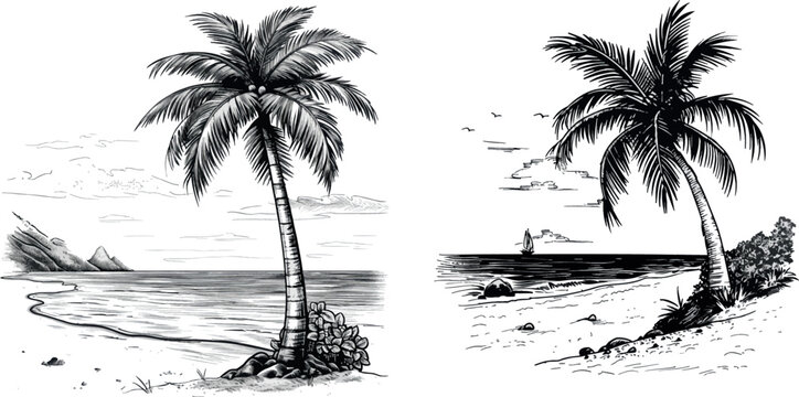Vacation on tropical beach, paradise by ocean hand drawn vector background illustration