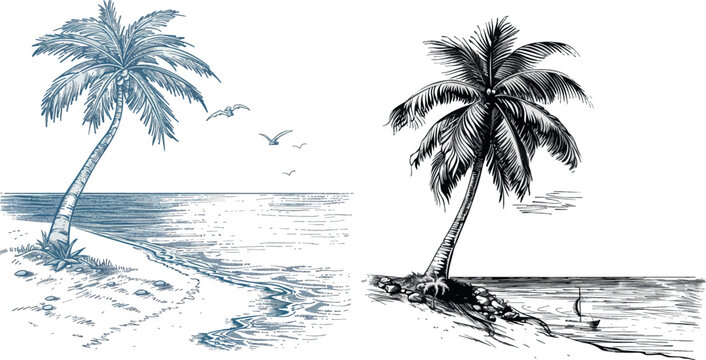 Sketch landscape with palm tree