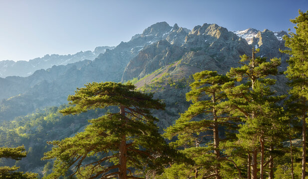 Monte Cinto, Haut Asco, Haute Corse, Korsika, Frankreich