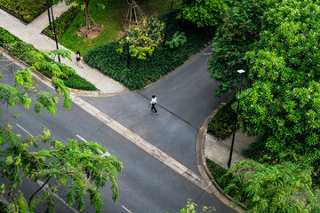 Aerial view urban park pathway surrounded by lush greenery