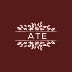 ATE  logo design template vector. ATE Business abstract connection vector logo. ATE icon circle logotype.
