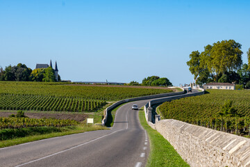 View on green vineyards, wine domain or chateau in Haut-Medoc red wine making region, Bordeaux, left bank of Gironde Estuary, France - obrazy, fototapety, plakaty