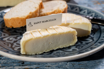 French cheeses collection, Saint-Marcellin cow's milk cheese with white mold from Rhône-Alpes region of France