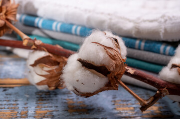 Soft natural fiber kitchen and bed textile made from organic cotton bolls close up