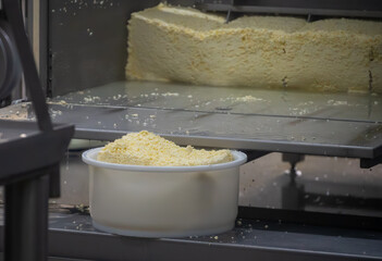 Process of organic cheese making from cow milk on bio cheese farm in Netherlands, dutch cheese...