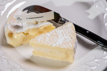 French soft Camembert cheese, original Camembert de Normandie, close up with white mold
