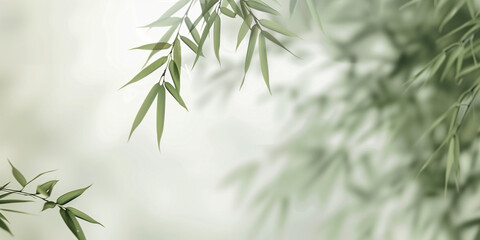 Sfondo con foglie di bambù. - obrazy, fototapety, plakaty
