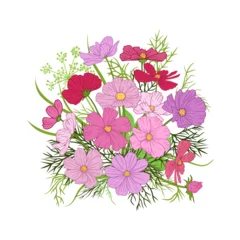 Behang .Bouquet of multi-colored cosmea  flowers, leaves and herbs.. Hand draw vintage flowers on a white background. Vector floral illustration. © INESA