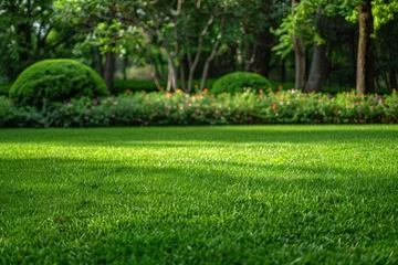  Beautiful manicured lawn and flowerbed with deciduous shrubs on plot or Park outdoor. Green lawn closely mowed as grass background. © Straxer