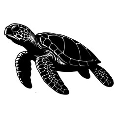 Fototapeta premium continuous one black line hand drawing turtle marine animal doodle vector illustration on white