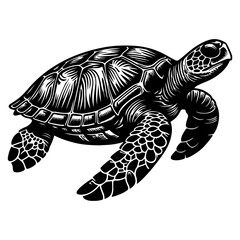 Fototapeta premium continuous one black line hand drawing turtle marine animal doodle vector illustration on white