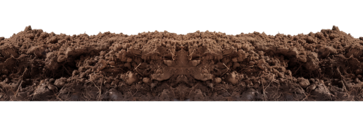 soil border side view isolated on transparent background