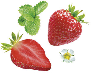 Erdbeeren mit Blüte