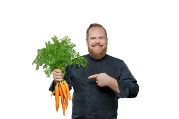 Friendly chef cook holds a big bunch of carrots isolated on free PNG background.