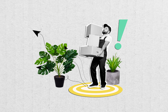 Composite artwork graphics collage of young guy delivery man courier service carry boxes orders speed profession occupation plants isolated on painted background