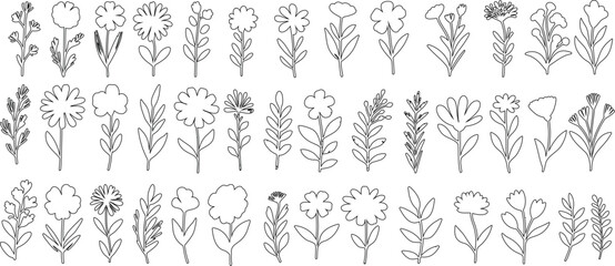 Hand drawn floral line art, detailed black and white flower line art, vector illustrations of various floral species in bloom, perfect for pattern, print, and wallpaper design.”