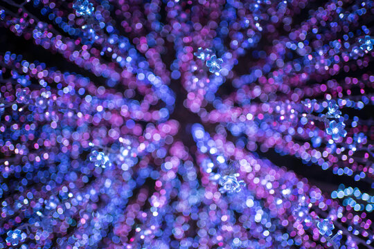 Celebration lights at Christmas New Year festival. Crowd of hanging blue light bulbs blue bokeh background. blue light bulb tunnel. 