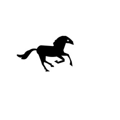 Obraz na płótnie Canvas horse running