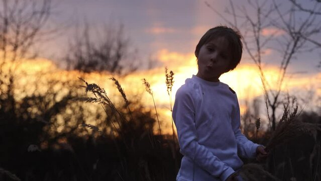 Adorable little child, boy, holding fild flowers in park on autumn day, sunset, tourism with backpack