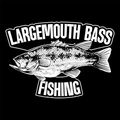 the black and white largemouth bass fishing illustration