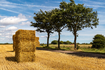 Hay stacks in a field in Kent, on a sunny summer's day