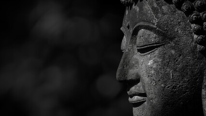 Fototapeta na wymiar Calm in Contrast: Buddha’s Profile in Soft Light