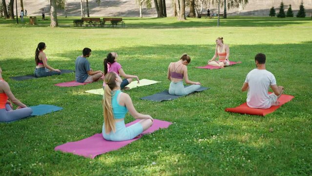 Diverse group of people participate in peaceful yoga session in green park, embodying wellness and community. Outdoor sports activities in fresh air