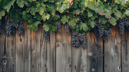 Minimalist Vines: Grapevines on a Wooden Fence