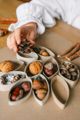 Montessori and Sensory Development, A child plays with natural materials