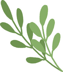 leaves