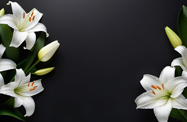 Beautiful white lilies on the dark background. Horizontal background for banner, greeting card, invitation. Women's Day, Valentine's Day, wedding.