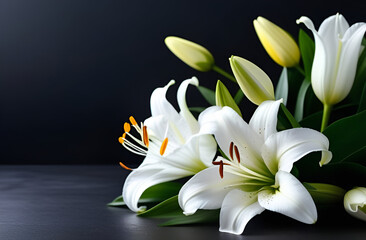 Beautiful white lilies on the dark background. Horizontal background for banner, greeting card, invitation. Women's Day, Valentine's Day, wedding.