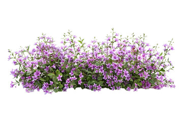 Bush of flowers on transparent background
