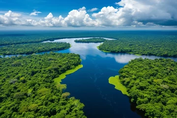 Foto op Canvas Aerial view of a river in a rainforest © STOCKAI