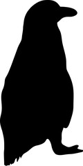 Penguin black vector silhouette