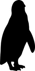 Penguin black vector silhouette