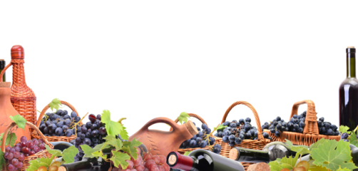 A bottle of wine on a white background isolated