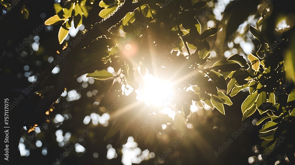 Poster sunlight filtering through tree leaves. generative ai.