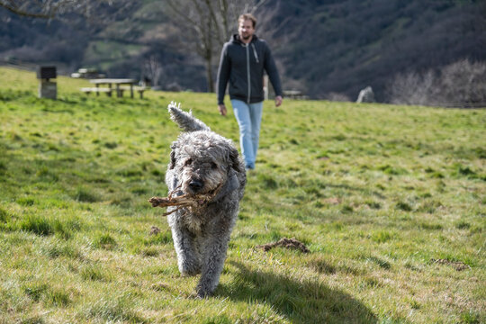 A young man playing and walking with his dog in a natural park.