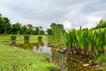 Jurong Lake Garden in Singapore