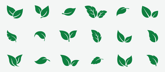 Set green leaves icon vector isolated on white background. Various shapes of green leaves of trees and plants