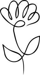 Continuous line drawing. Line art floral concept design. Flower drawing with single continuous line. Flower silhouette contour drawing with black thin line transparent background.